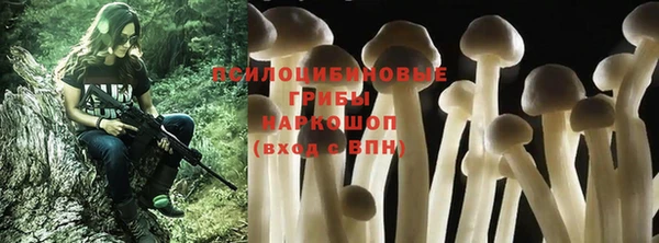 гидропоника Лиски