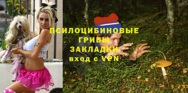 гашик Магас
