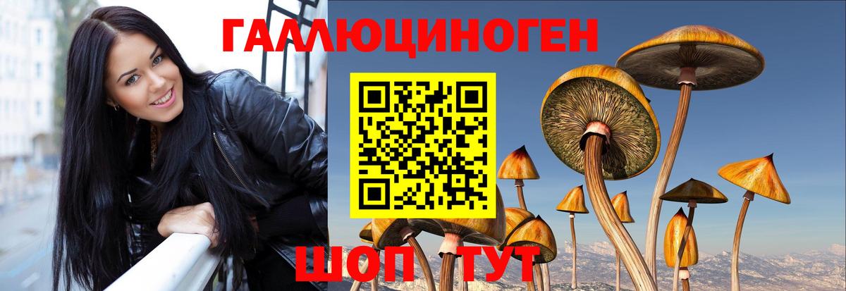 Галлюциногенные грибы Cubensis  Галлюциногенные грибы мицелий  Лыткарино 