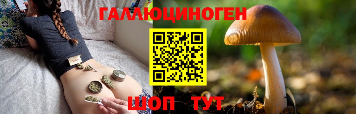 Галлюциногенные грибы мухоморы Лыткарино